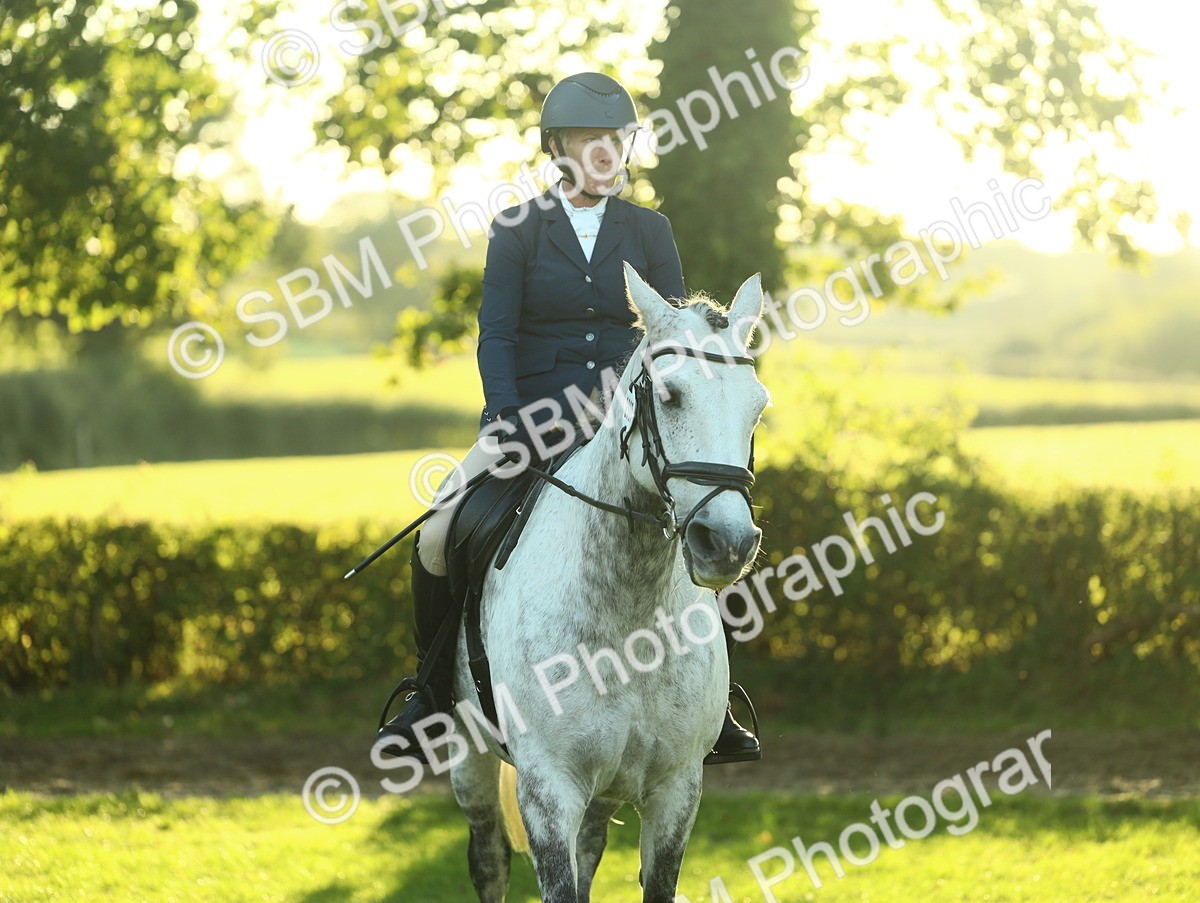 SBM_55603 - S14 - Riding Club Horse