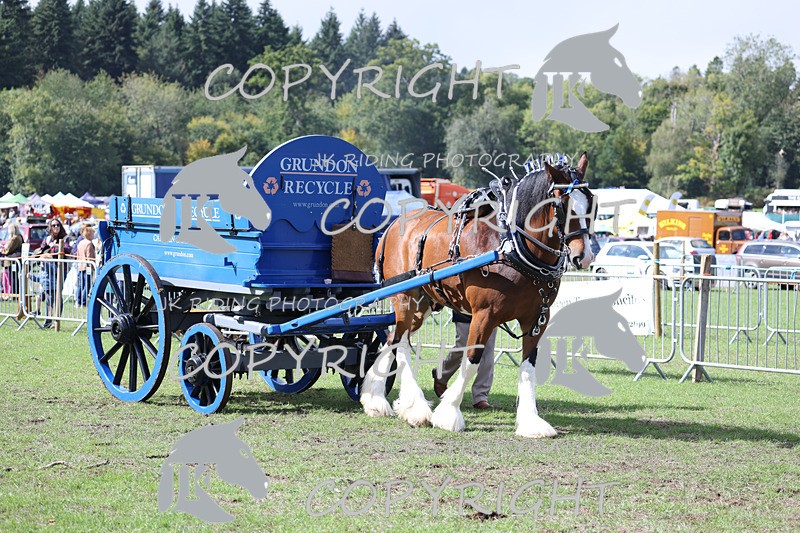 APP_3583 - Class 7 Turnout for a single or pair