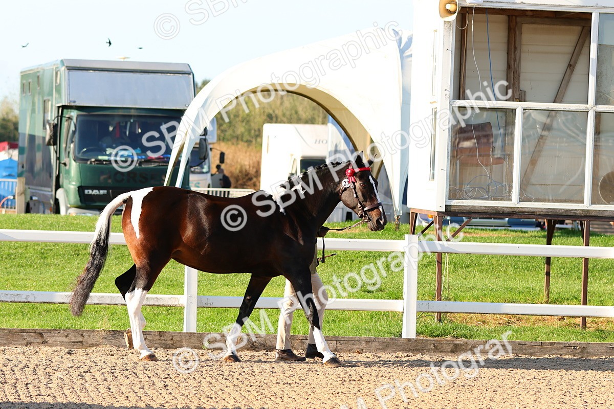 SBM_07949 - Class 201 - Best Turned Out - IH