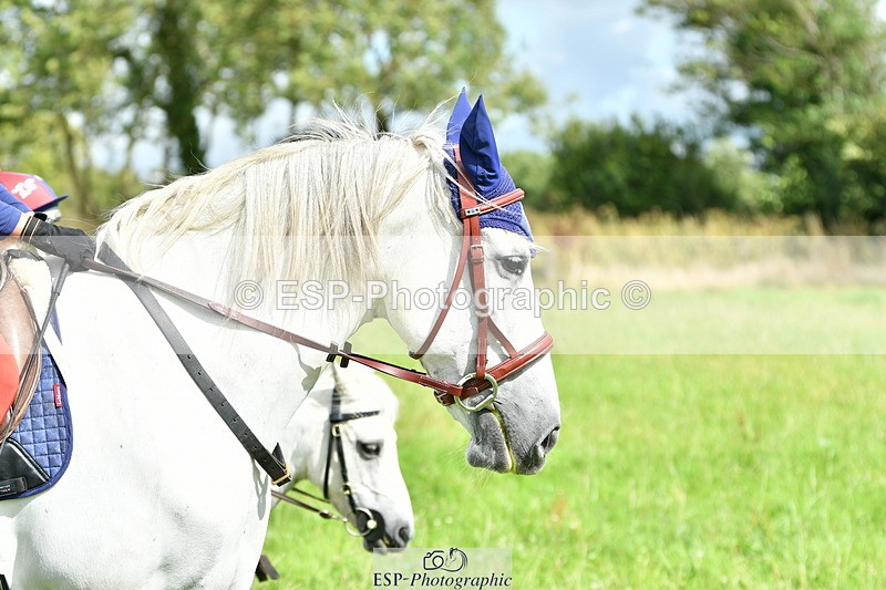 230801A-161209-00290 - Thomasina's Group Ride