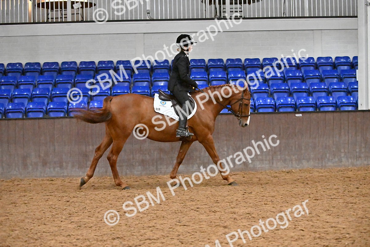 SBM_003060 - Class 37,38 - UKPSAF Performance Horse & Pony