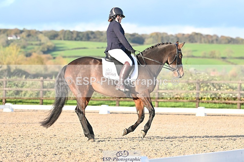 231105-151255-03025 - Cls 4 Novice 24 15.24 to 16.35 break