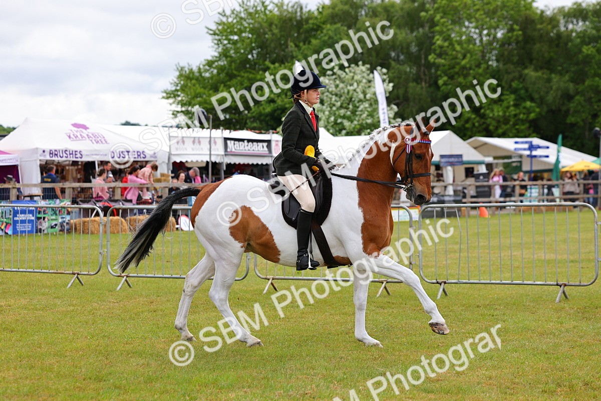 SBM_02571 - Class 9-11 Side Saddle including LIHS Rising Star Ladies Show Horse