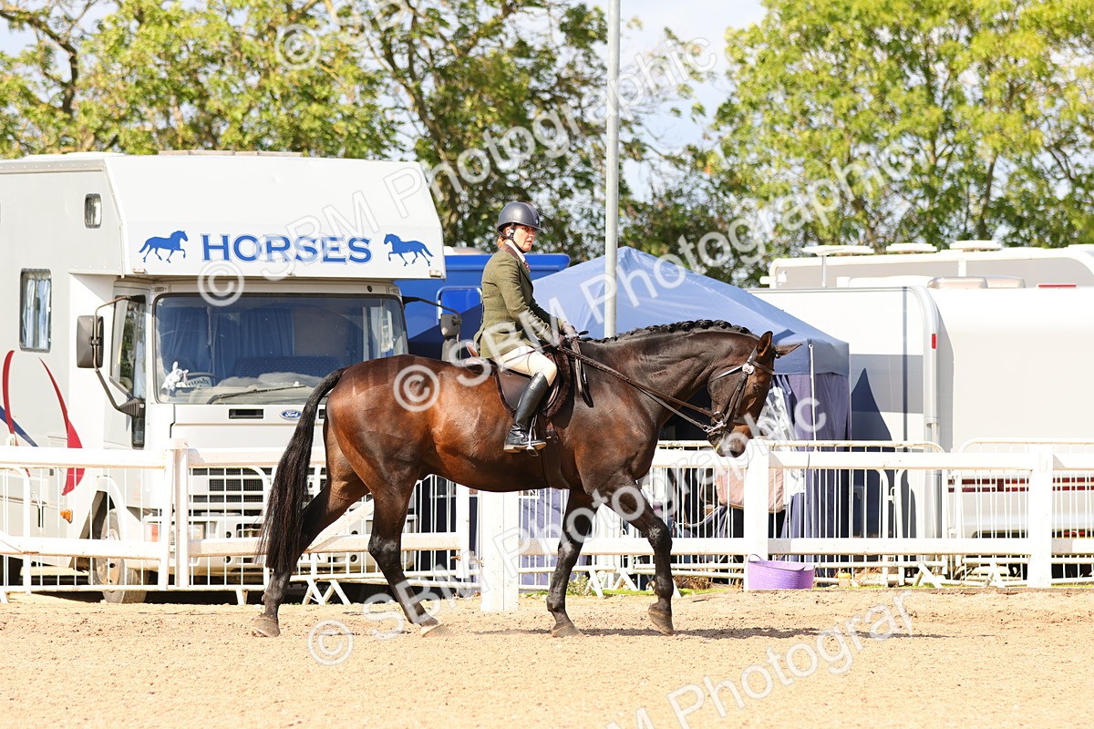SBM_13430 - Class 212 - Ridden Hunter  - Large