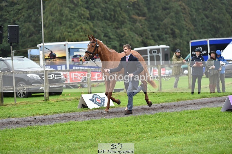 231018-121928-00203 - 069-LUSUELA-Will.Furlong-TrotUp