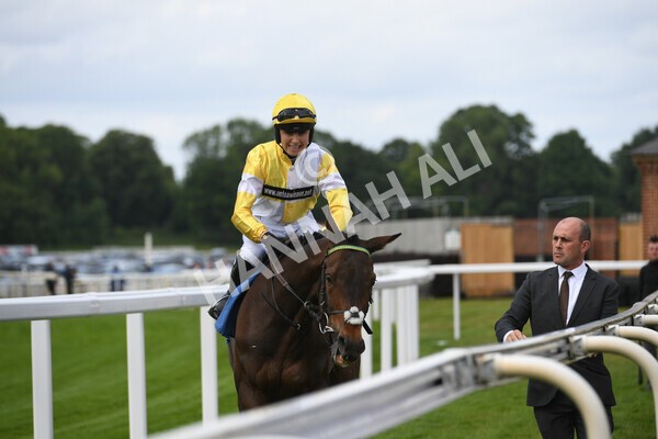 yr11062022r2-7 - Race 2 2.00pm Queen Mother's Cup