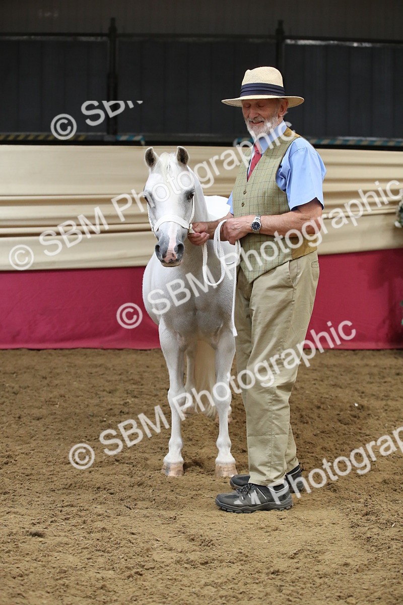 SBM_05743 - Class 9R - Regional IH Pre-Vet
