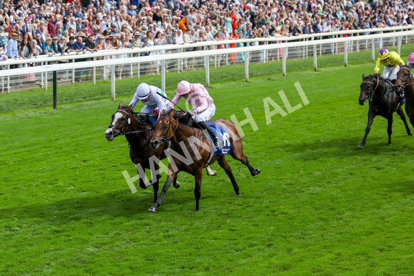 240823-Race 4-Warm Heart-5199 - Race 4 3.35pm Pertemps Network Yorkshire Oaks