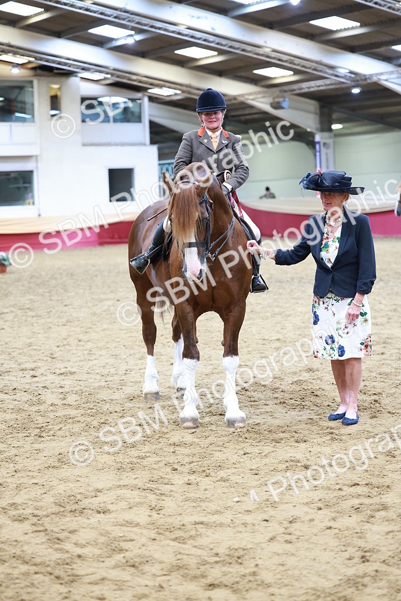 SBM_18898 - Class 952 - M&M Ridden Supreme Final