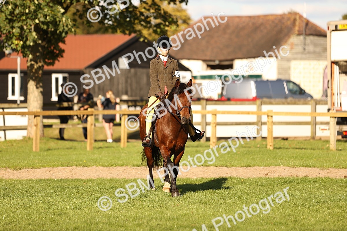 SBM_29396 - S7 - Novice & Newcomers Ridden Pony