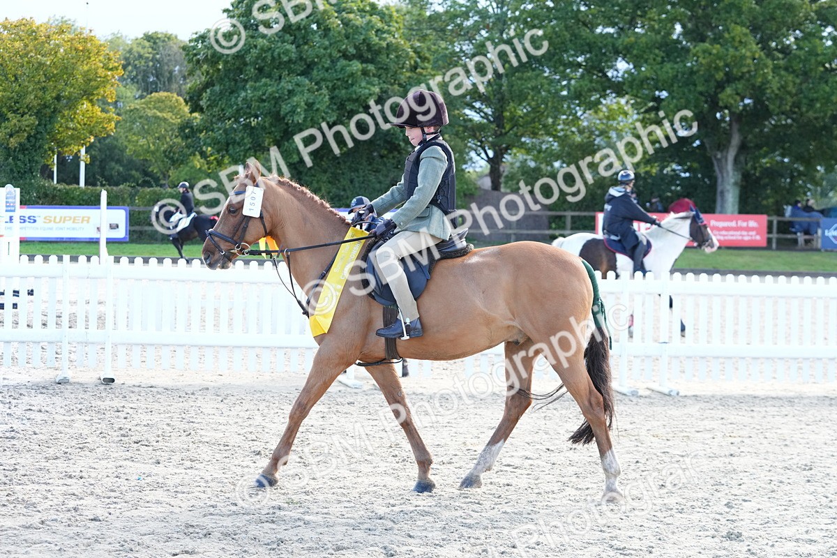 SBM_36415 - J5 - Junior Pony 50cm Championship