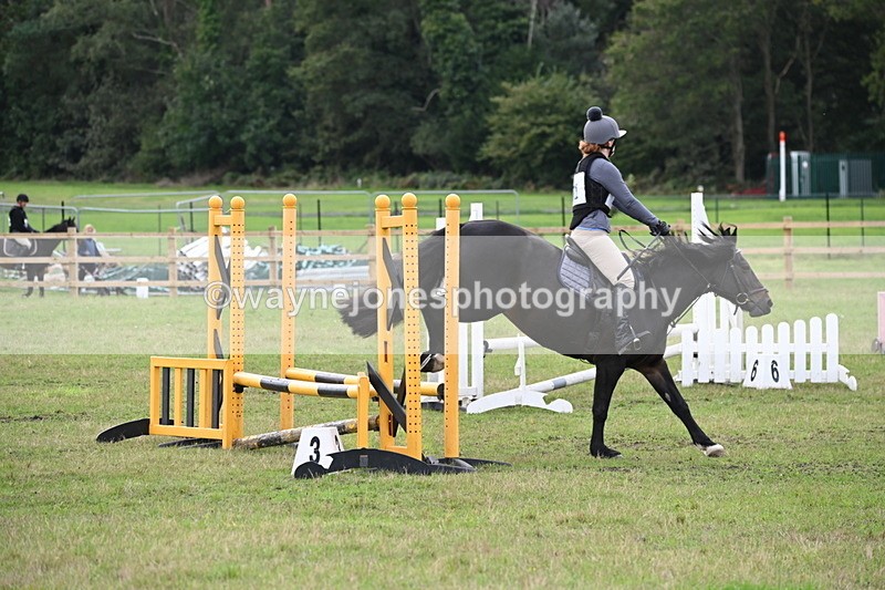 WJ6_1256 - 60cm Time 11:51 to 12:10