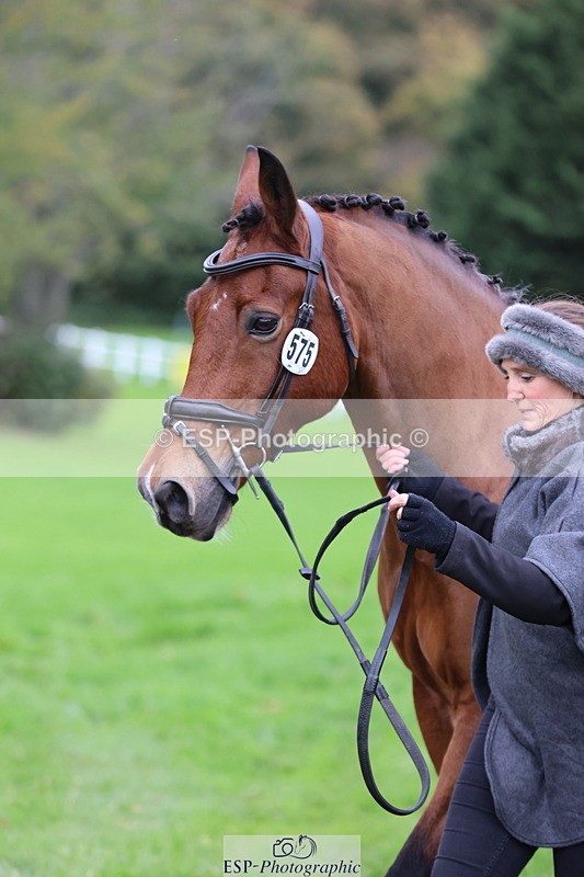 251026A-110016-23446 - G-575-Victoria.Woodland