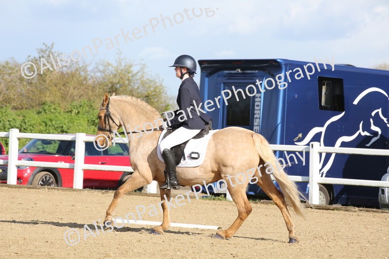 20260314-5176 - DR6 - Novice 2