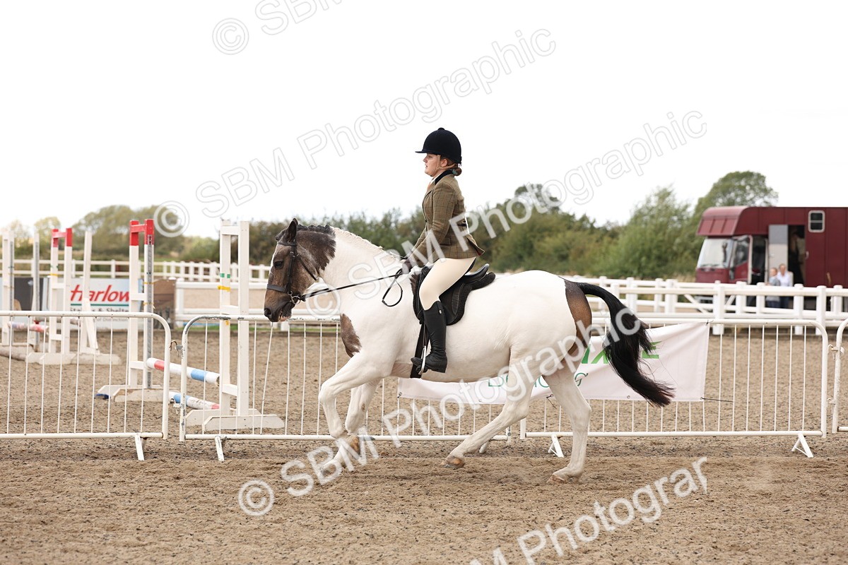 SBM_04206 - Class 54 - Riding Club Horse/Pony
