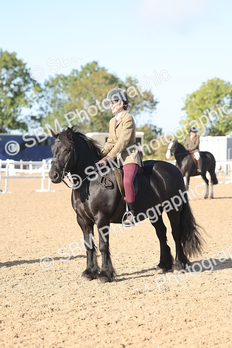 SBM_22161 - Class 802 - Ridden Groom Helpers Class