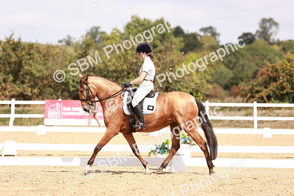 SBM_018553 - Class 17 - Novice 6