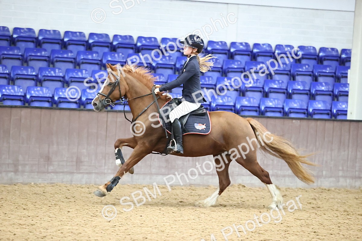 SBM_001707 - Class 3 - Springboard 128cm 138cm Restricted handicap 85cm 95cm