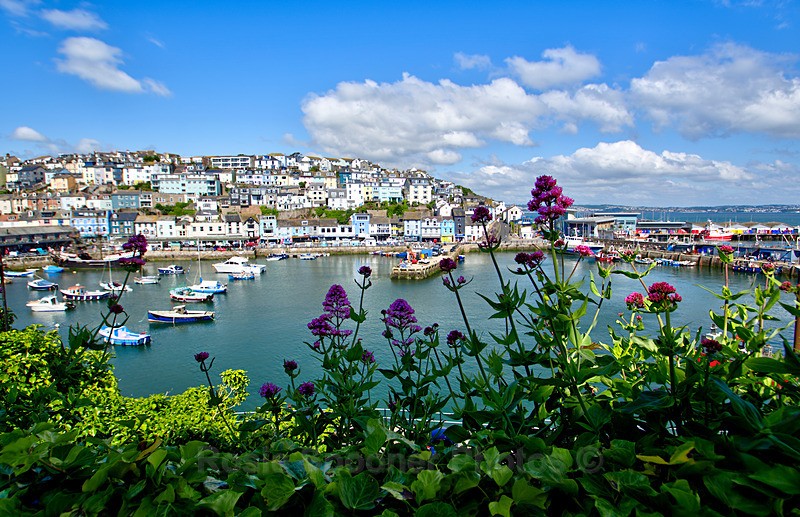 Brixham Habour view