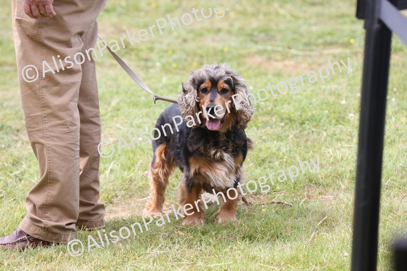 20250607-0051 - Misc