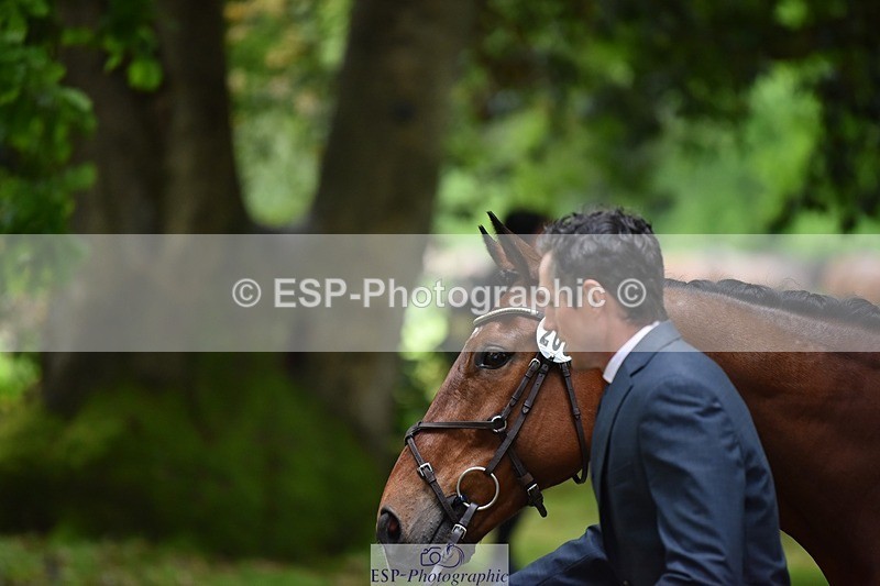 240522-163556-01036 - 268-TOM_DILLINGER-Hector_Payne