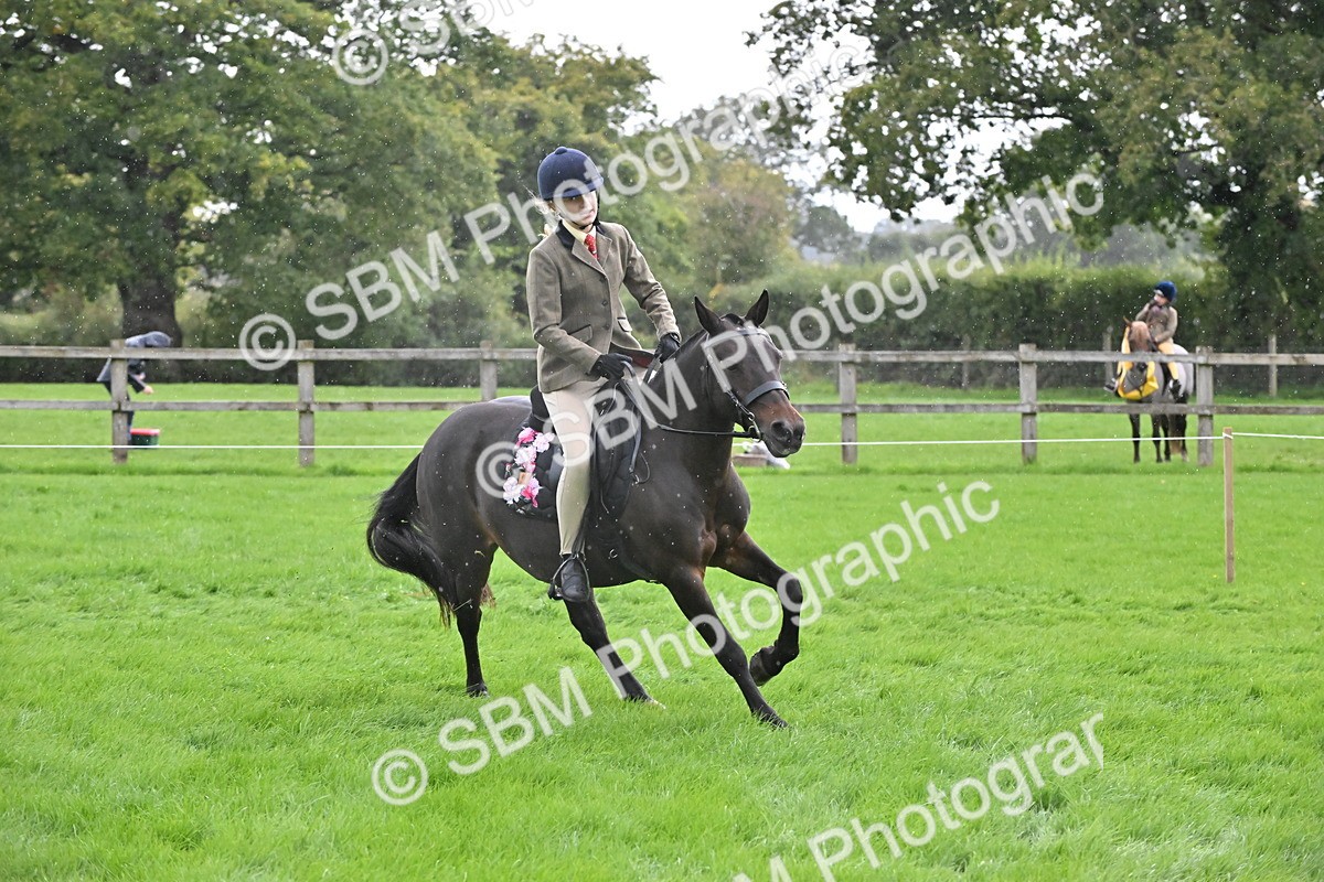SBM_42934 - S12 - Family Horse & Pony