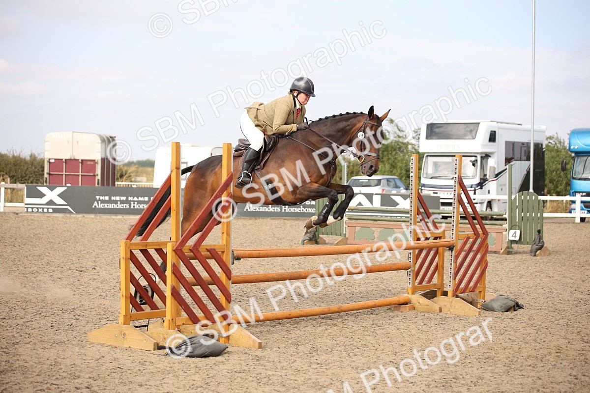 SBM_17295 - Class 410a - Wor5king Veteran 90cm (15-19)