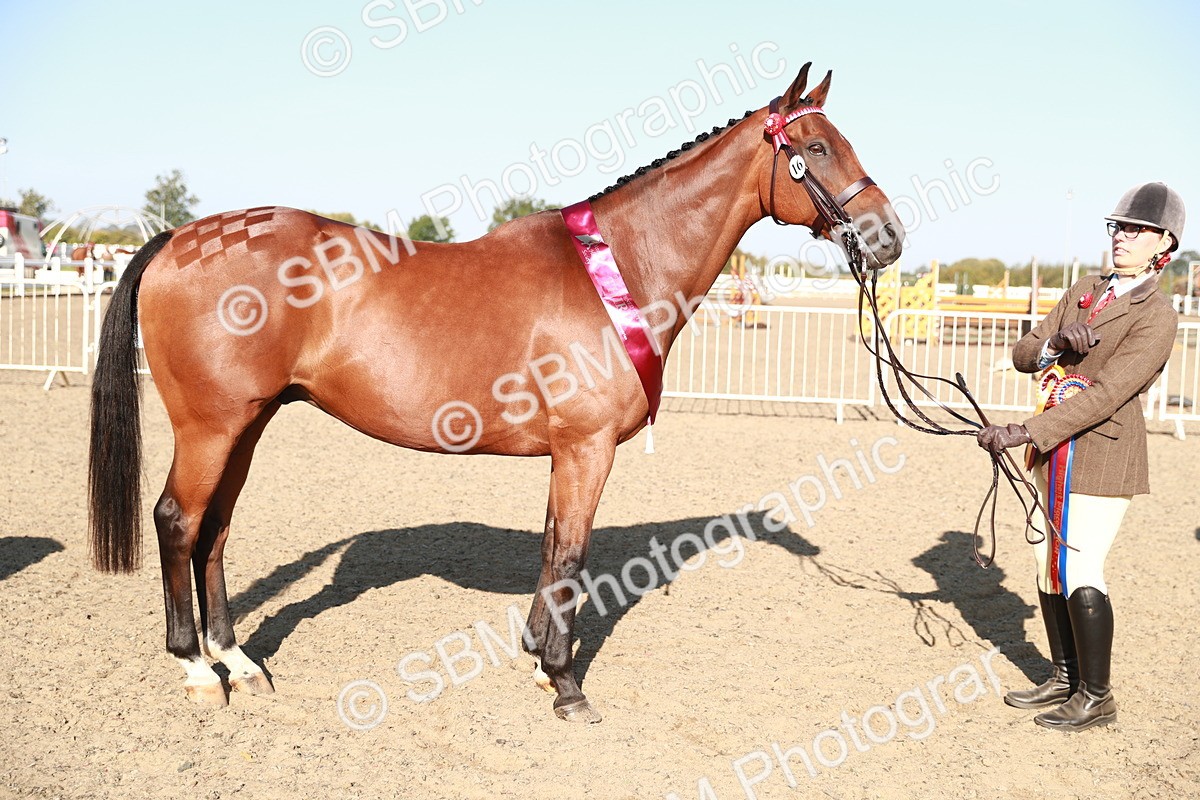 SBM_00107 - Class 40 Best Turned Out IH