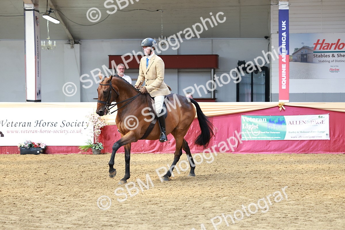 SBM_14924 - Class 108 - Ridden Retired Racehorse