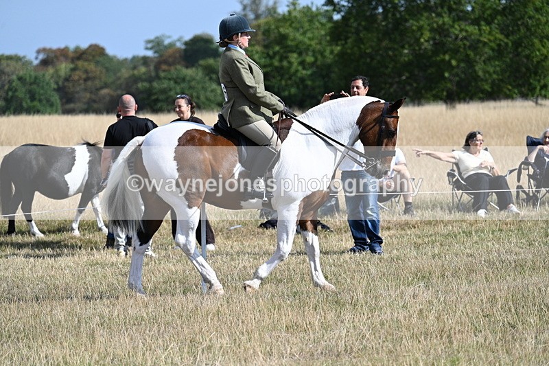 WJ7_2683 - Class 8 Ridden Tack & Turnout