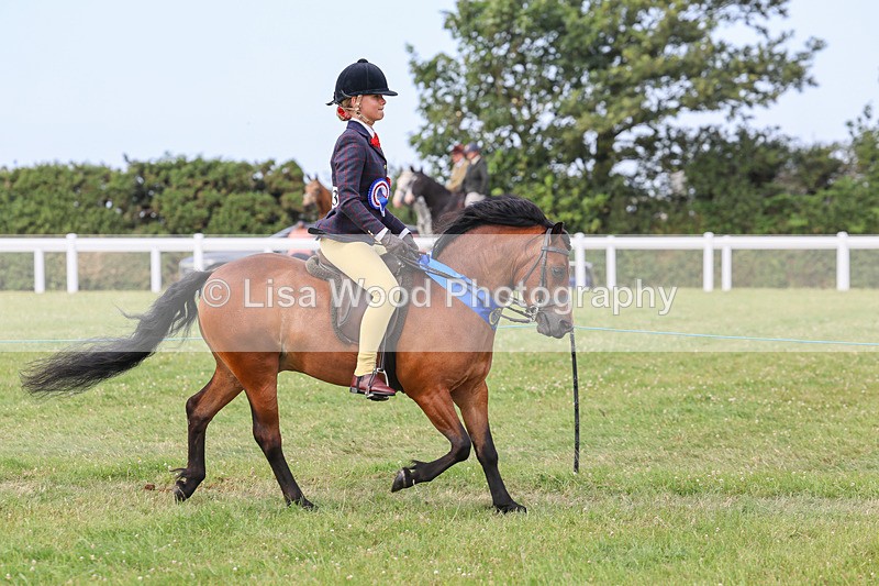 IMG_3755 - M & M Ridden Championship
