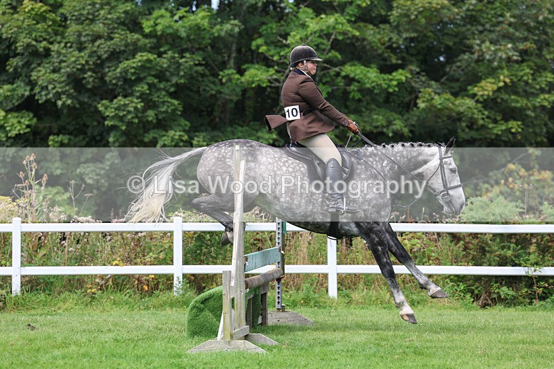 3E7A8860 - Class 6: Open Working Horse