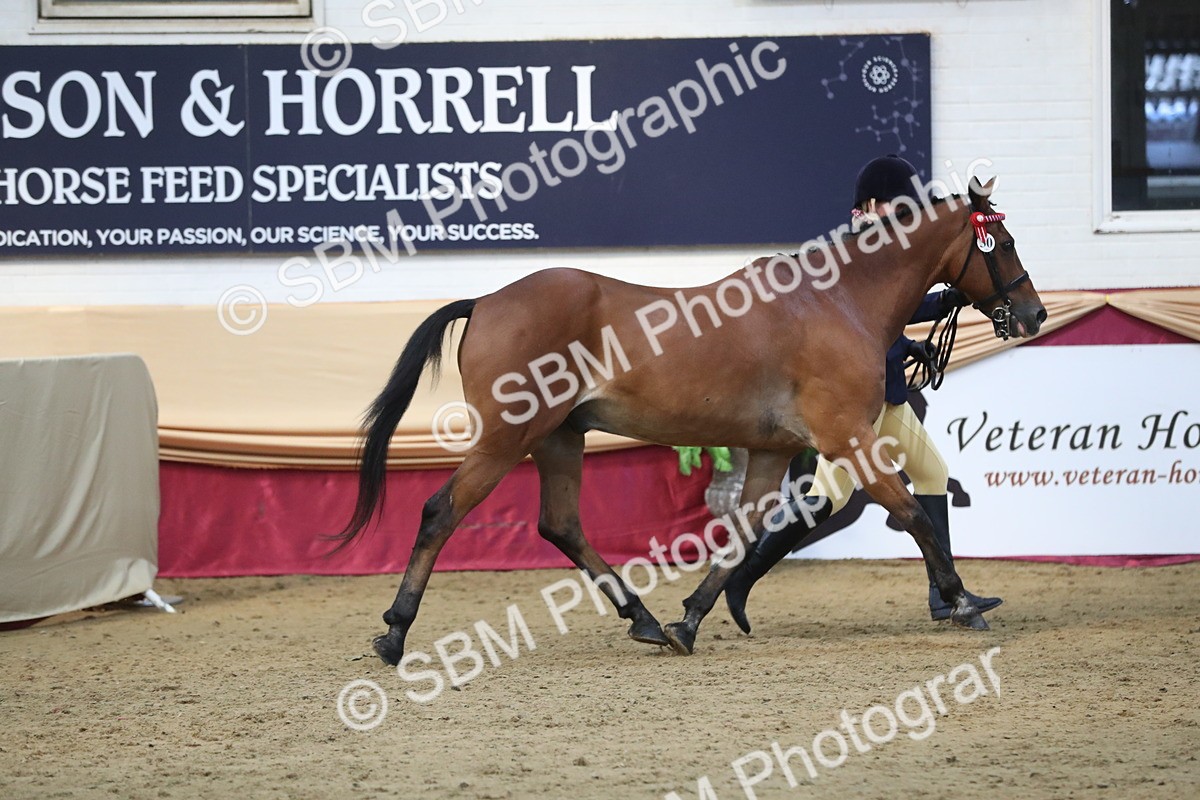 SBM_07334 - Class 10R Regional Ridden Diamond