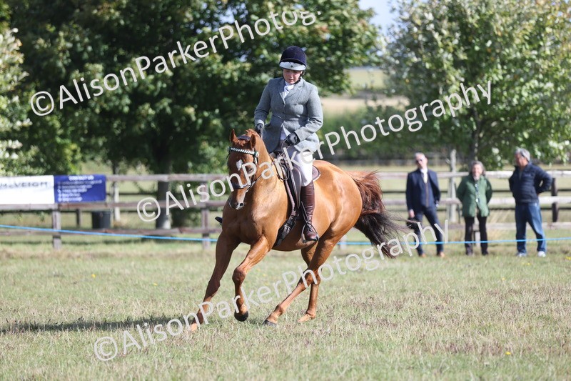 20250831-0903 - Class 14 - Ex Racehorse