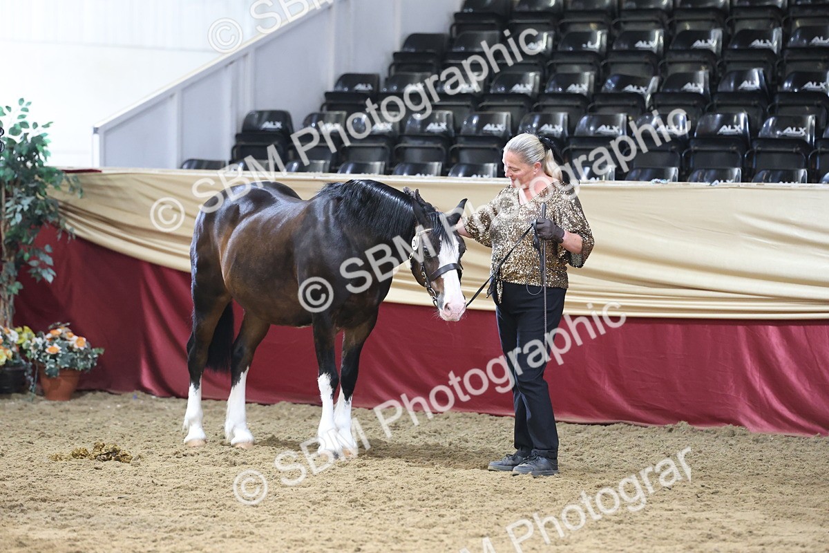 SBM_22554 - Class 902 - Supreme Final - IH Diamond