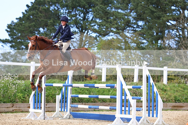 3E7A2110 - Class 8: Senior Foxhunter/1.20 open