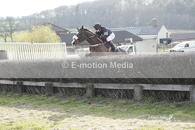 PtP 080423 781 - Dingley Races The Woodland Pytchley Hunt PtP 08/04/23