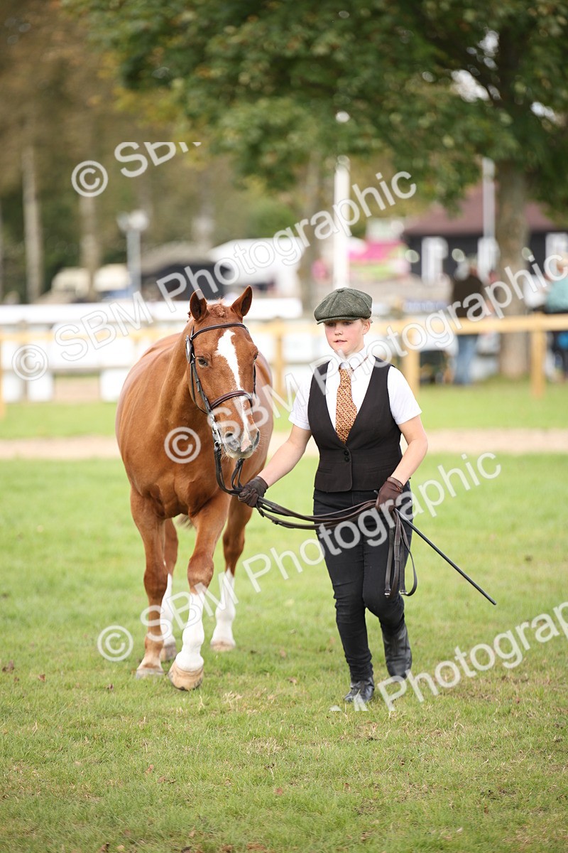 SBM_44470 - S24 - Young Veteran in hand