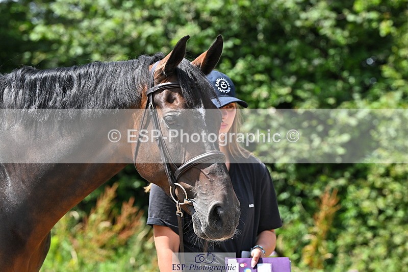 240718A-105251-01252 - Trot Up 12pm to 1pm