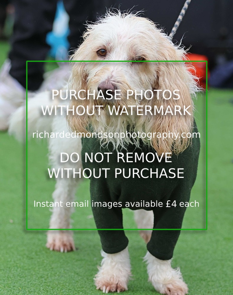 533A1500 - Ambleside Hockey vs Keswick Hockey (20/9/25)