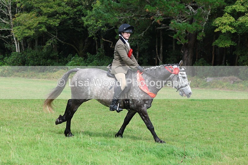 3E7A6202 - Working Hunter Championship