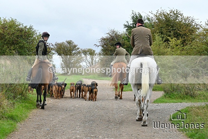 WJ7_0825 - Berks & Bucks Hound Exercise Blewbury 13-09-26