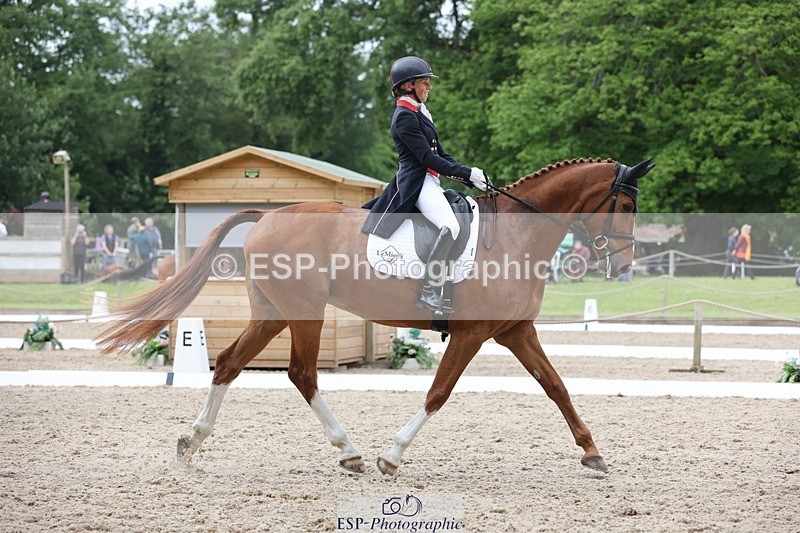 240523-150153-03000 - 233-SILVESTERS_FINESSE-Rosalind_Canter