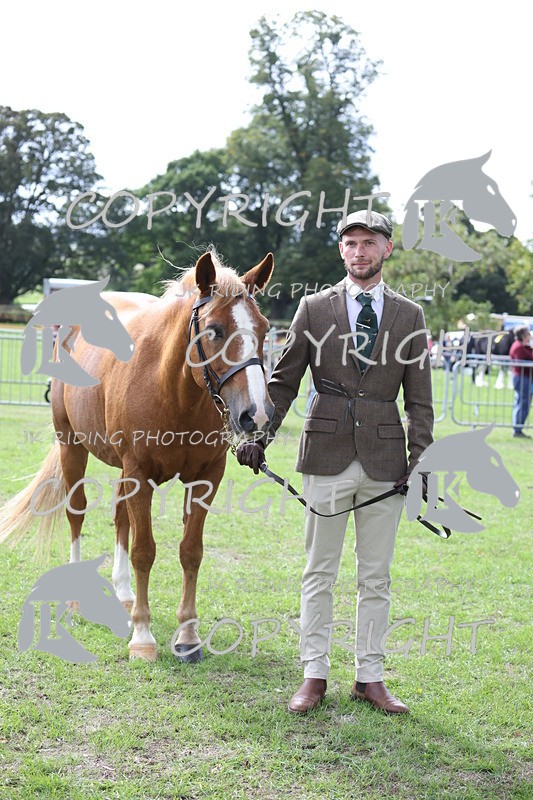 APP_2934 - Class 10a/b M&M in hand