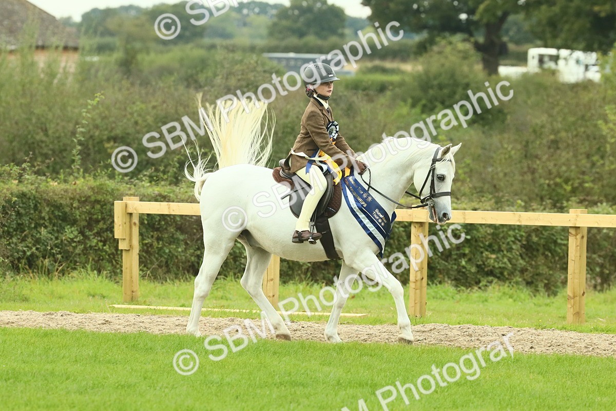 SBM_75149 - Super Supreme Championship