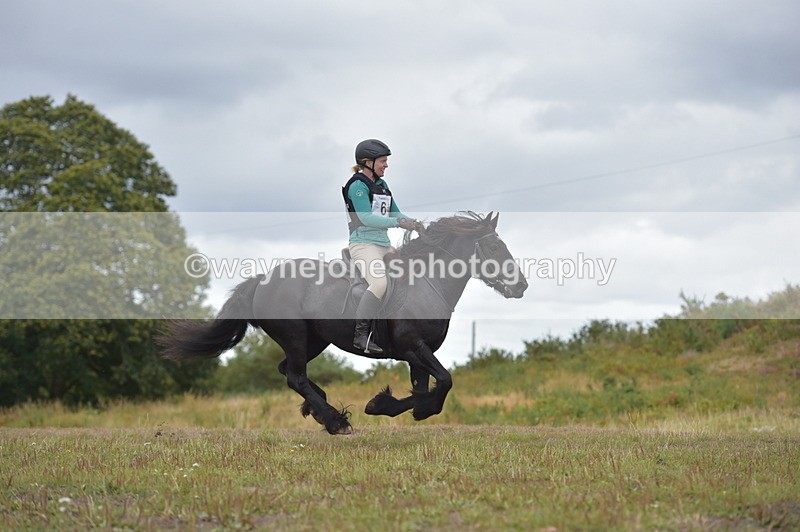 NGP_2767 - XC Time 11:37 to 11:57