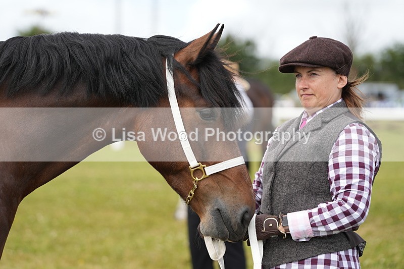 DSC05840 - Class 51: NPS M&M 4 years and over Large Breeds