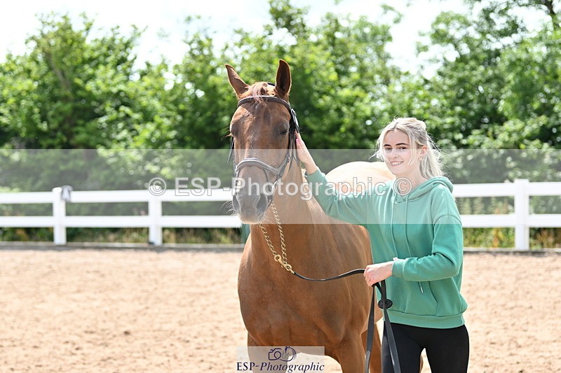 240717A-145018-02333 - Trot Up 2pm to 3pm - This folder is not in time order