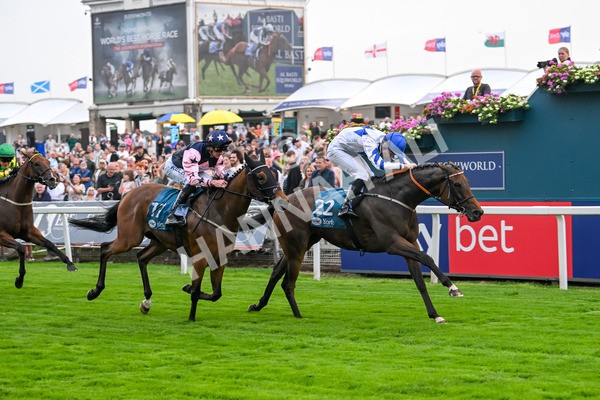 250725-Race 4-Dicko The Legend-5941 - Race 4 7.13pm Tomahawk Restaurants Handicap