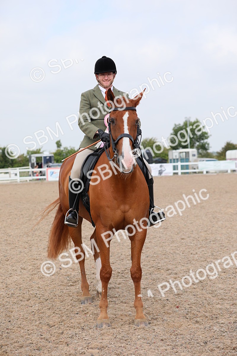 SBM_11494 - Class 305 Ridden Foreign Breeds- Pure Bred